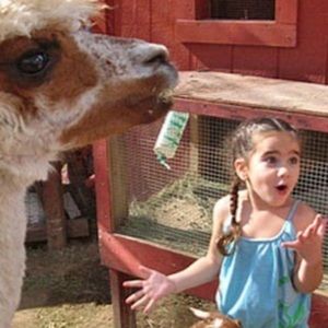 Meet your Posher, Elianna